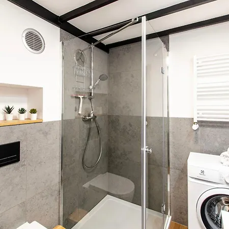 9a Loft Apartment Breslau